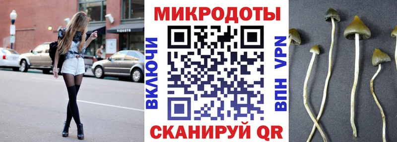 Псилоцибиновые грибы мухоморы Саянск