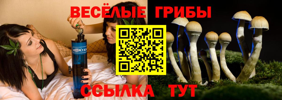 Галлюциногенные грибы Magic Shrooms Саянск