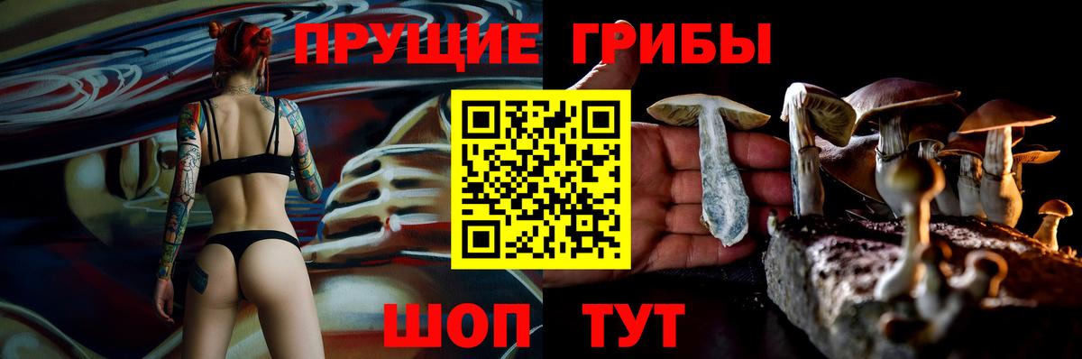 даркнет сайт  Псилоцибиновые грибы прущие грибы  Вход с VPN  Саянск 